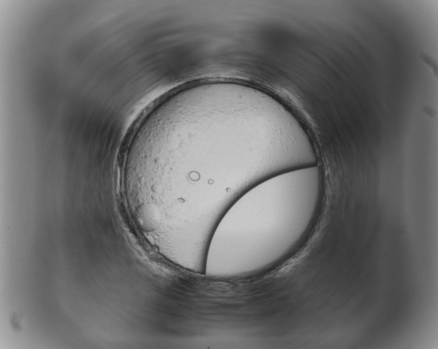 X0000102511125200808081001