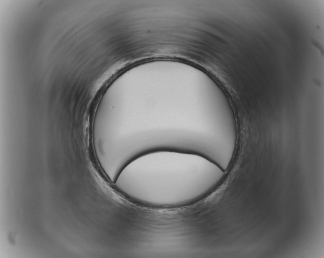 X0000102511126200808081001