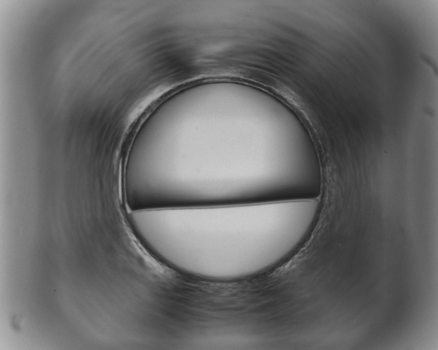 X0000102511127200808081001