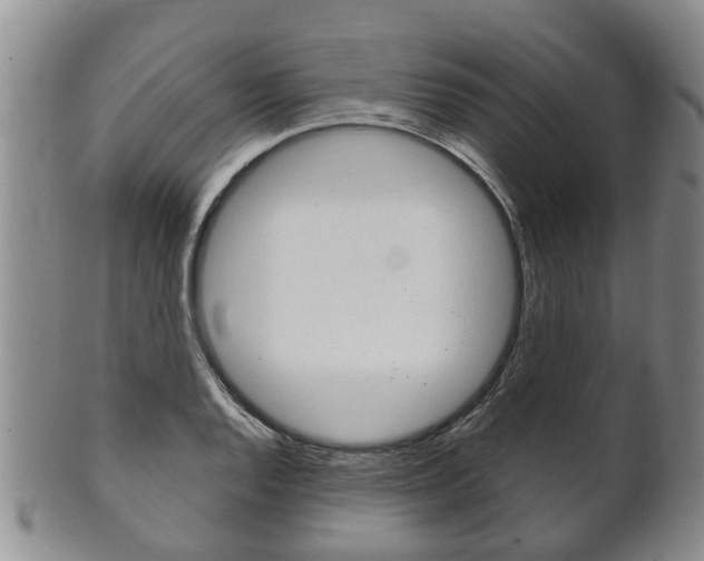 X0000102511128200808081001