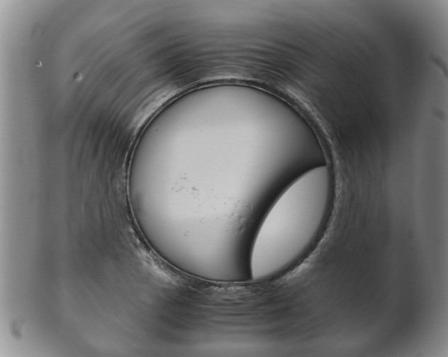 X0000102511129200808081001