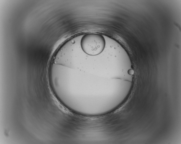 X0000102511130200808081001