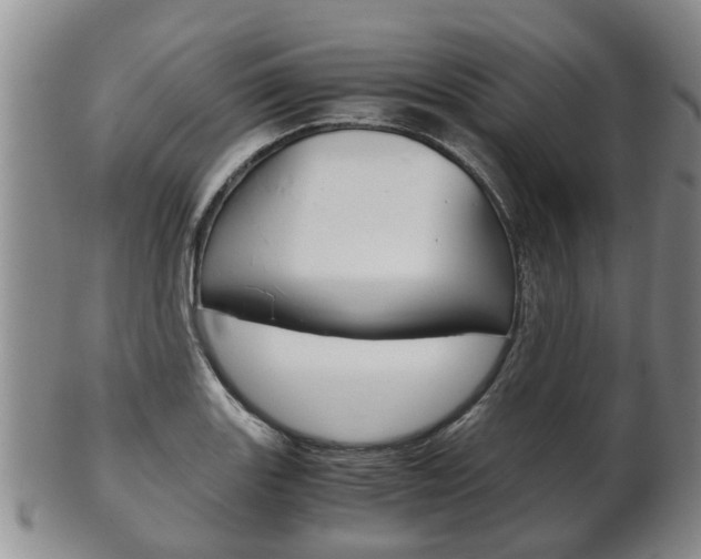 X0000102511131200808081001