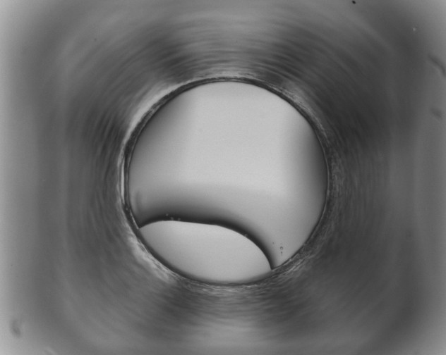 X0000102511132200808081001