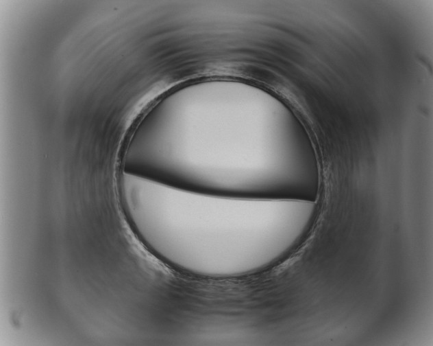 X0000102511133200808081001