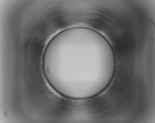 X0000102511134200808081001
