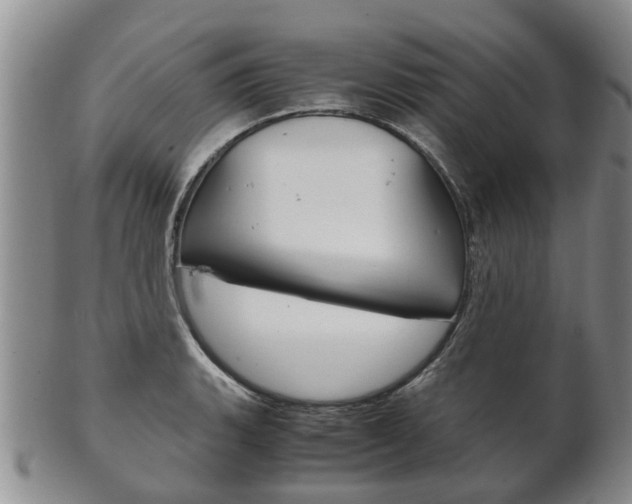 X0000102511135200808081001