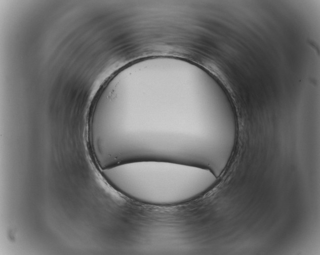 X0000102511136200808081001