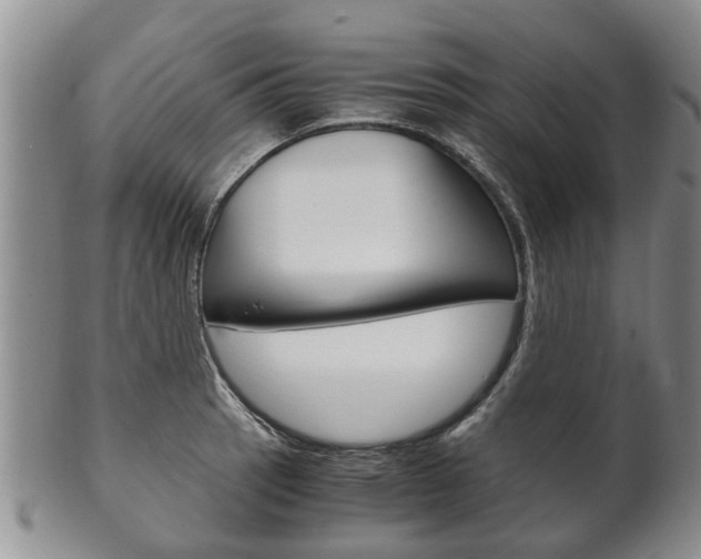 X0000102511137200808081001
