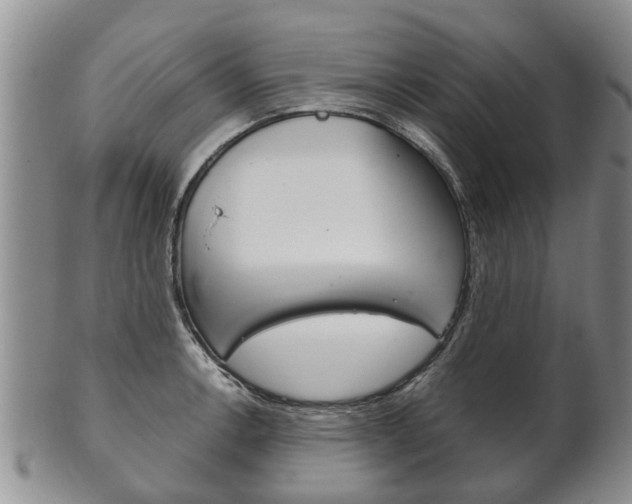 X0000102511138200808081001
