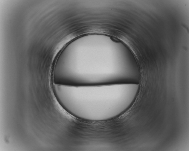 X0000102511139200808081001