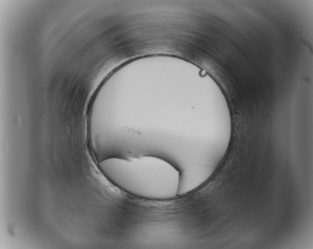 X0000102511140200808081001