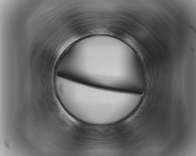 X0000102511141200808081001