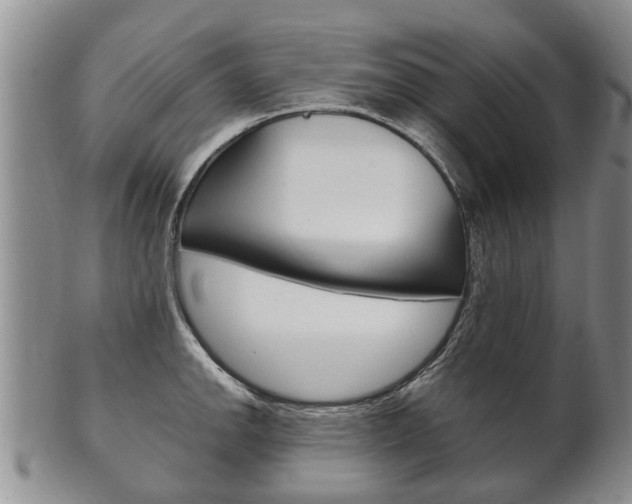 X0000102511142200808081001