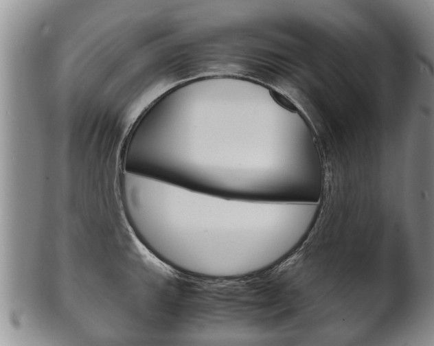 X0000102511143200808081001
