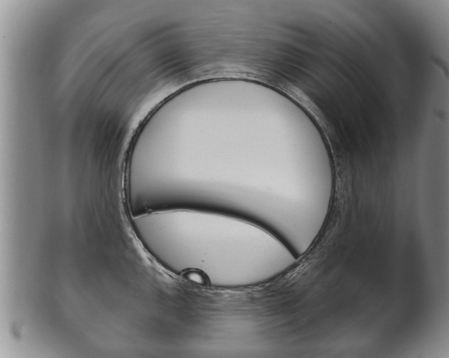 X0000102511144200808081001