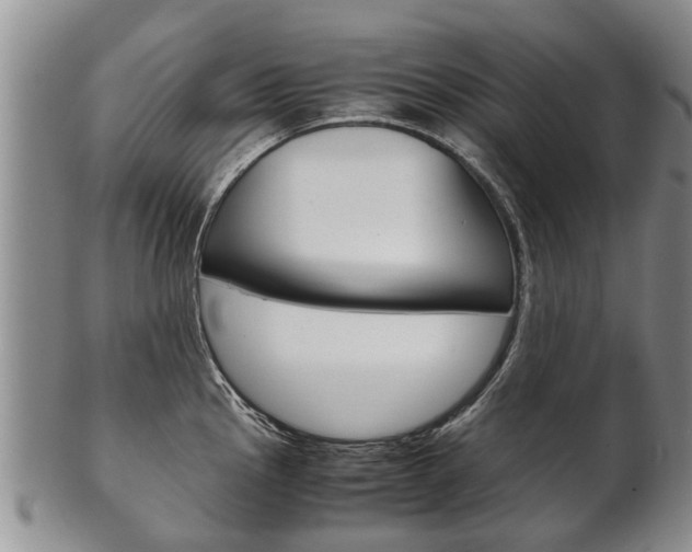 X0000102511145200808081001
