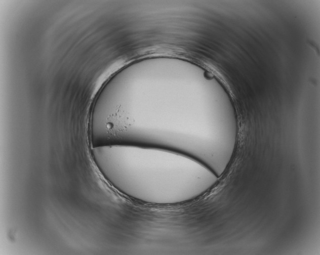 X0000102511146200808081001