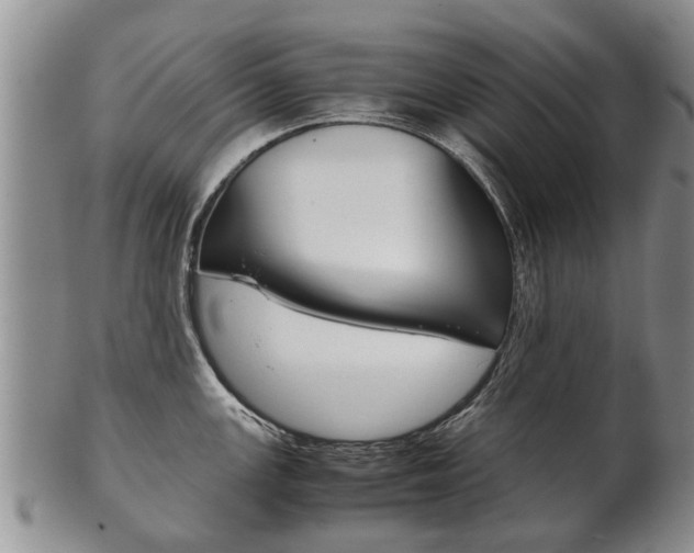 X0000102511147200808081001