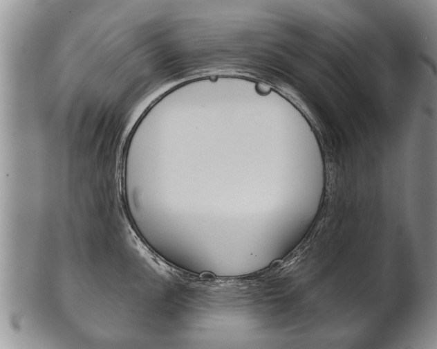 X0000102511148200808081001
