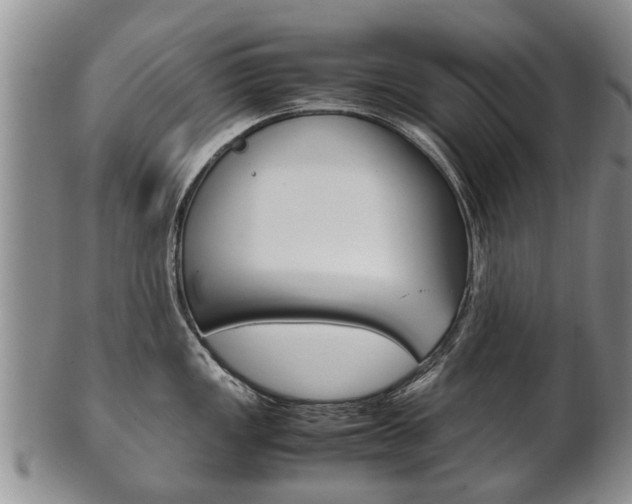 X0000102511149200808081001