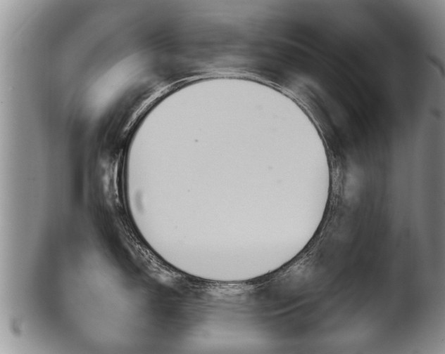 X0000102511150200808081001