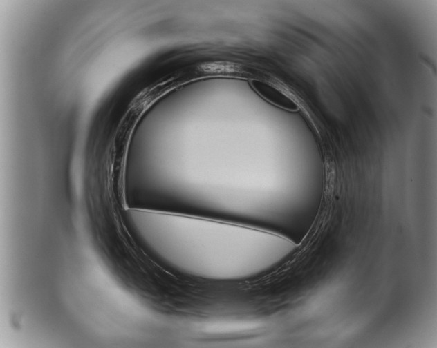 X0000102511151200808081001