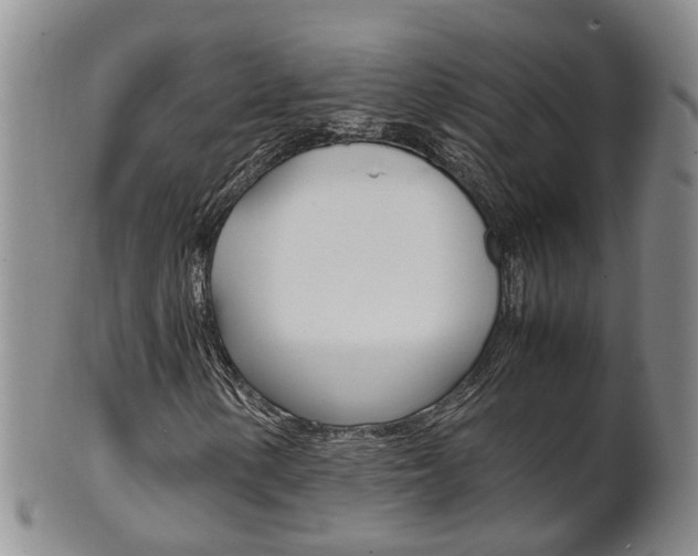 X0000102511154200808081000