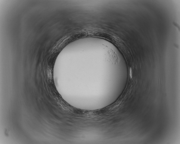 X0000102511155200808081000