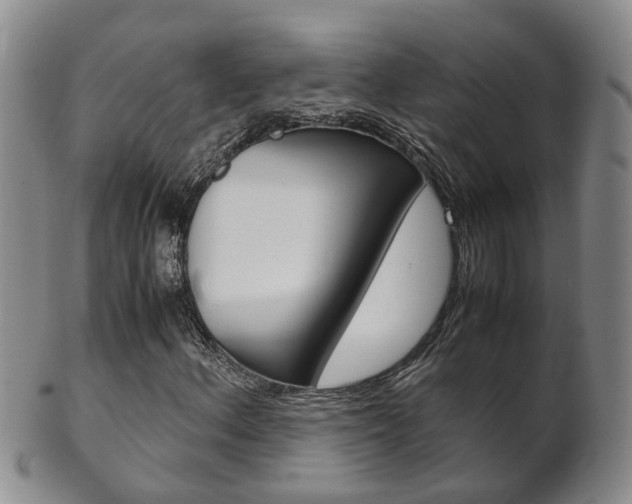 X0000102511156200808081000
