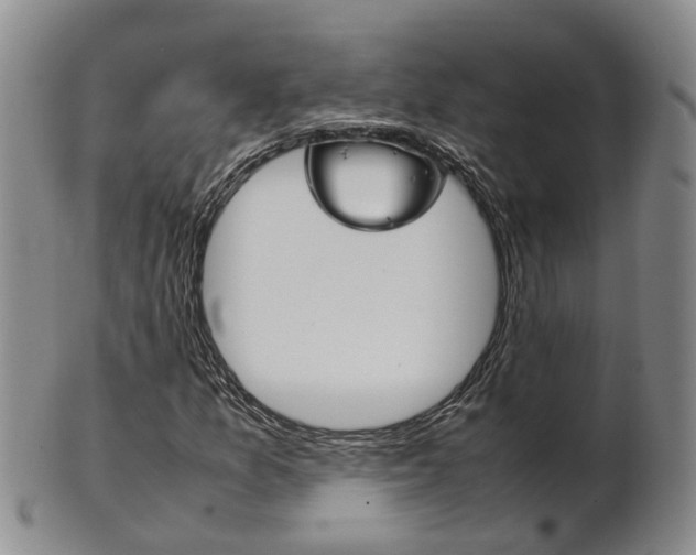 X0000102511157200808081000