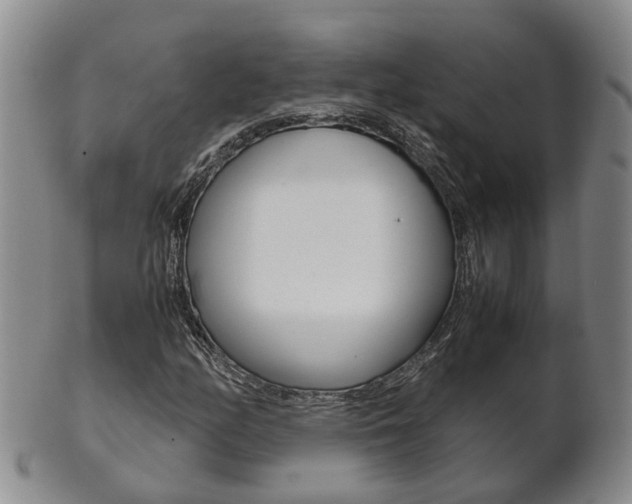X0000102511158200808081000