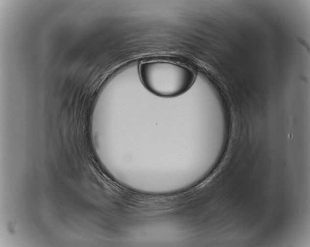 X0000102511161200808081000