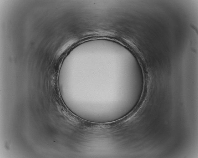 X0000102511163200808081000