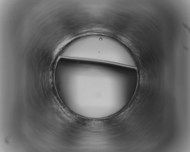 X0000102511164200808081000