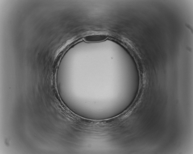 X0000102511165200808081000