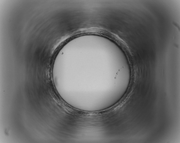 X0000102511166200808081000