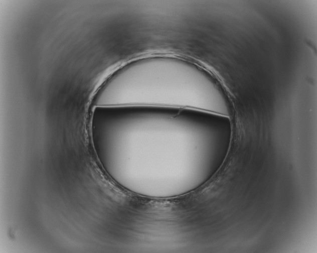 X0000102511168200808081000