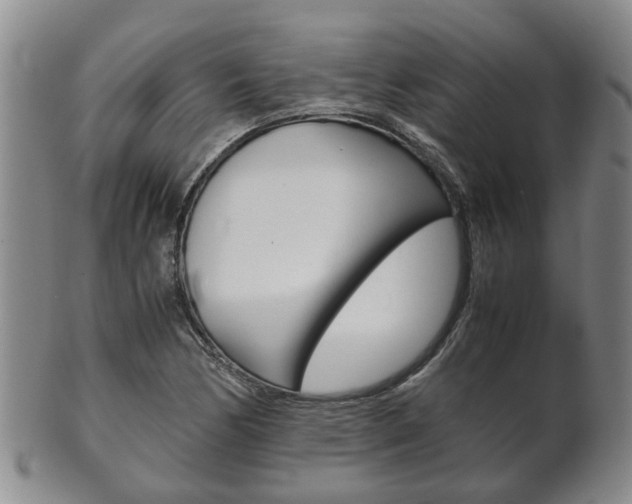 X0000102511170200808081000
