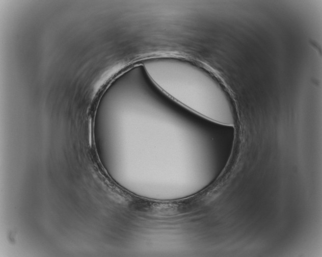 X0000102511171200808081000