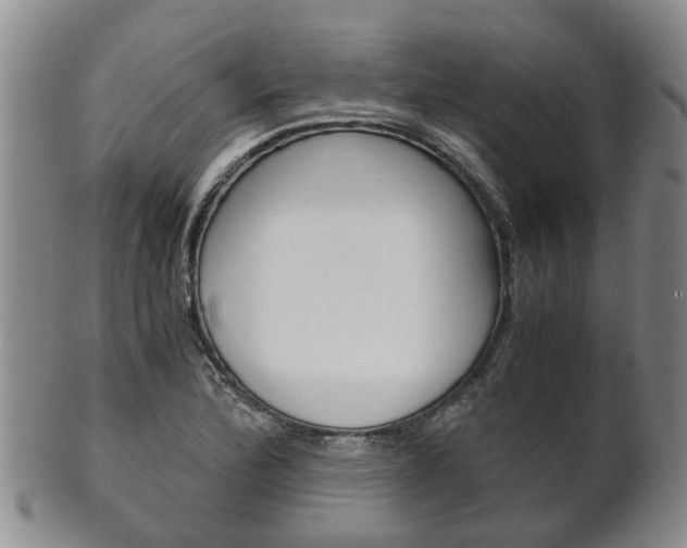 X0000102511172200808081000