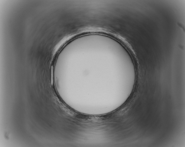 X0000102511175200808081000
