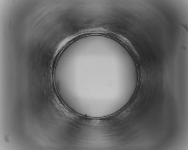 X0000102511176200808081000