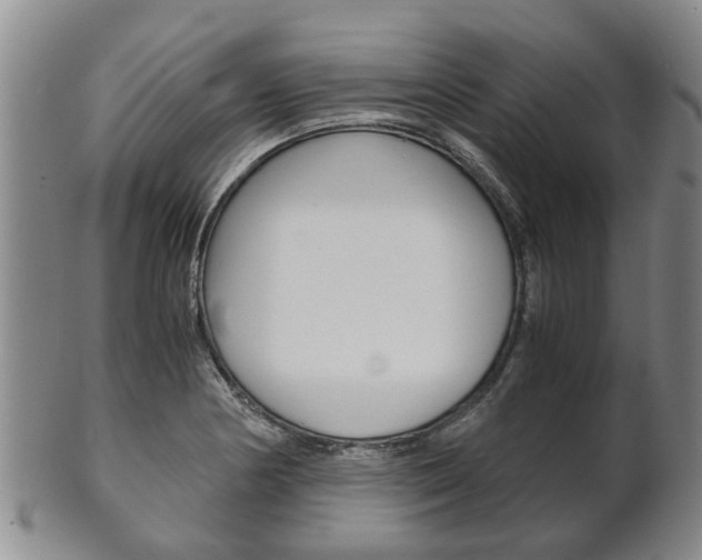 X0000102511178200808081000