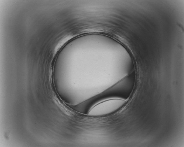 X0000102511179200808081000