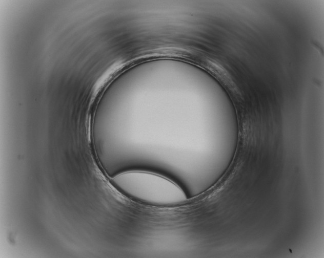 X0000102511180200808081000
