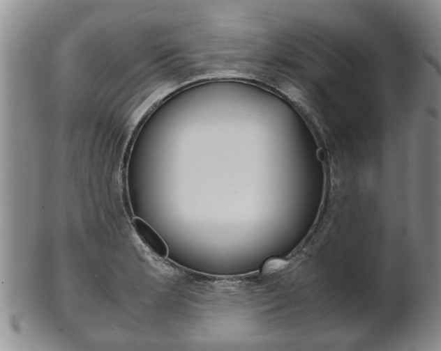 X0000102511181200808081000
