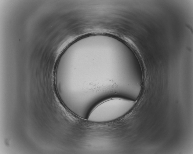 X0000102511183200808081000