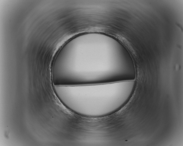 X0000102511184200808081000