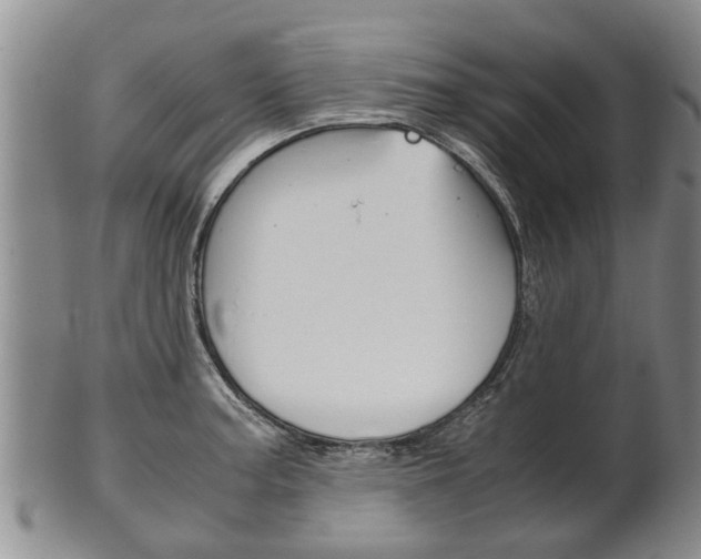 X0000102511187200808081000